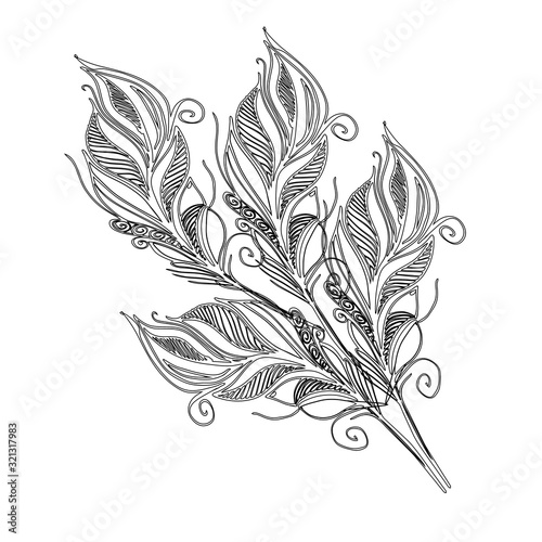 drawing of a bouquet of feathers with lace inserts