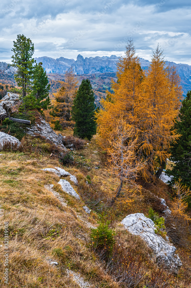 Obraz premium Overcast morning autumn alpine Dolomites mountain scene. Peaceful Valparola Path view, Belluno, Italy.