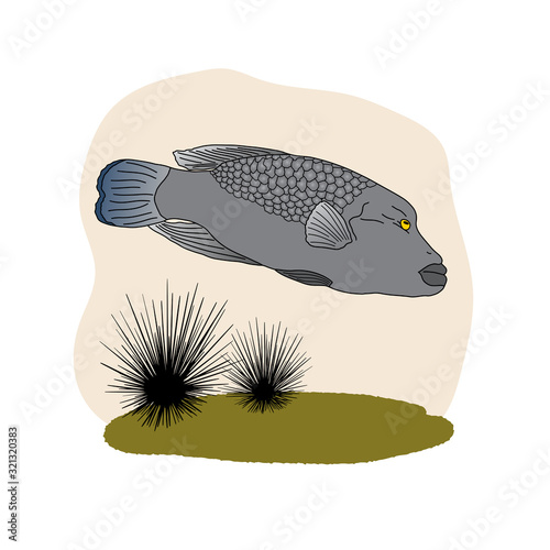 Tropical sea fish isolated on a light background. Cartoon technique. Vector illustration. Suitable for textiles, design of children's rooms, t-shirts, etc.
