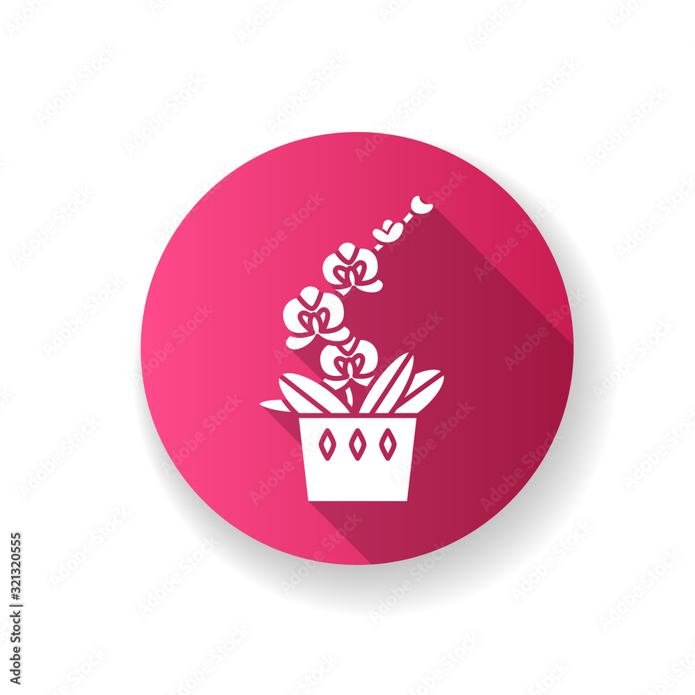 Moth orchid pink flat design long shadow glyph icon. Orchidaceae. Phalaenopsis Blume. Elegant indoor plant with pink flowers. Decorative blooming houseplant. Silhouette RGB color illustration Moth orchid pink flat design long shadow glyph icon. Orchidaceae. Phalaenopsis Blume. Elegant indoor plant with pink flowers. Decorative blooming houseplant. Silhouette RGB color illustration
