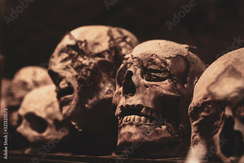 Skulls. Group of mummified skulls inside an ancient crypt