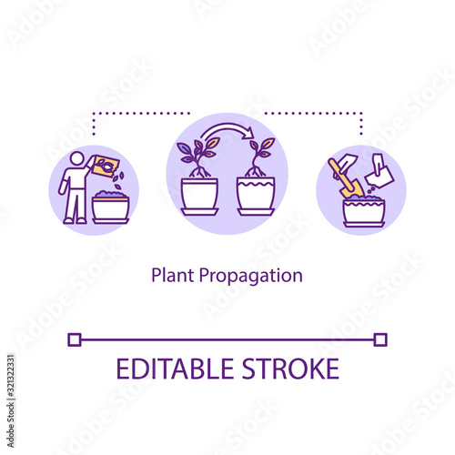 Plant propagation concept icon. Growing houseplants from stem cuttings. Fertilizing, feeding. Planting seeds idea thin line illustration. Vector isolated outline RGB color drawing. Editable stroke