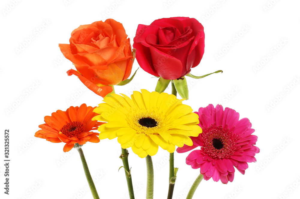 Gerbera and rose flowers