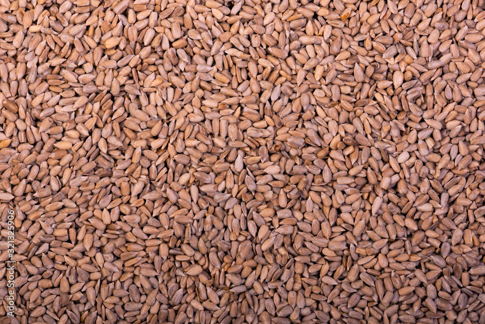Sunflower seeds background. Texture of seed. Healthy natural food Sunflower seeds background. Texture of seed. Healthy natural food