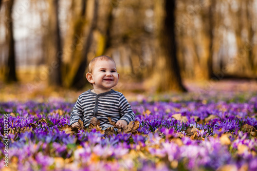 Little boy in spring park with purple saffron flowers