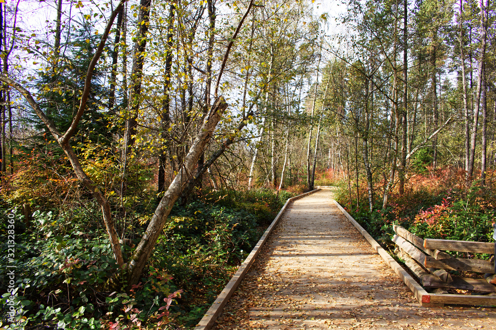 Fototapeta premium Richmond Nature Park