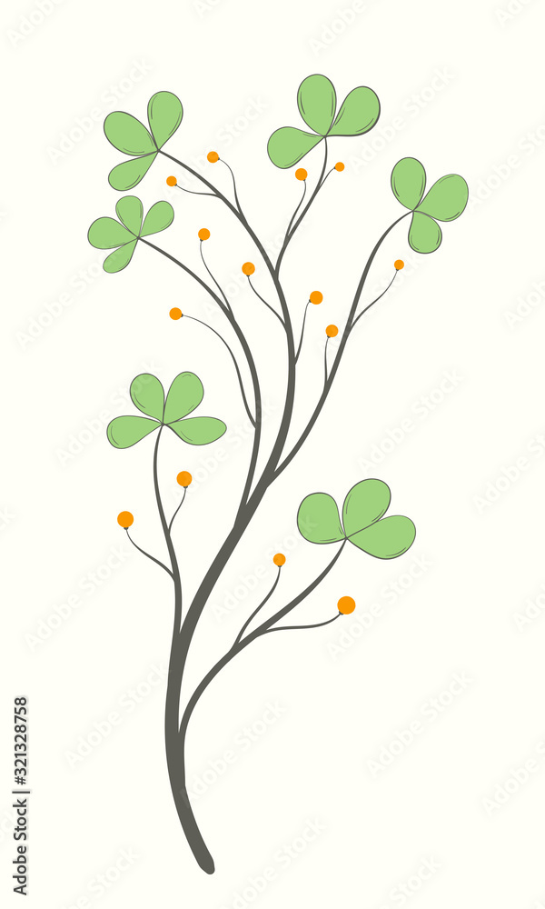 Fototapeta Blooming branch with green leaves and orange berries on a white background