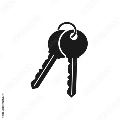 Two keys icon, flat design.