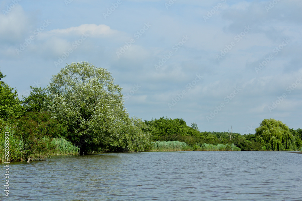 Panorama, wild view of Churia river in the swamps of Kolkheti National Park. A lot of reeds. Summer, green landscape Georgia country. Panorama, wild view of Churia river in the swamps of Kolkheti National Park. A lot of reeds. Summer, green landscape Georgia country.