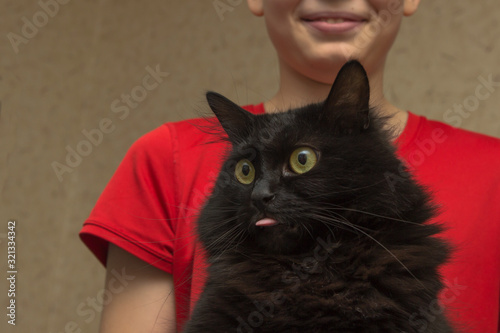 funny, crazy, insane, the black cat was stunned, and surprised. The cat in the room in the hands of a man in a red T-shirt. the cat stuck out his tongue
