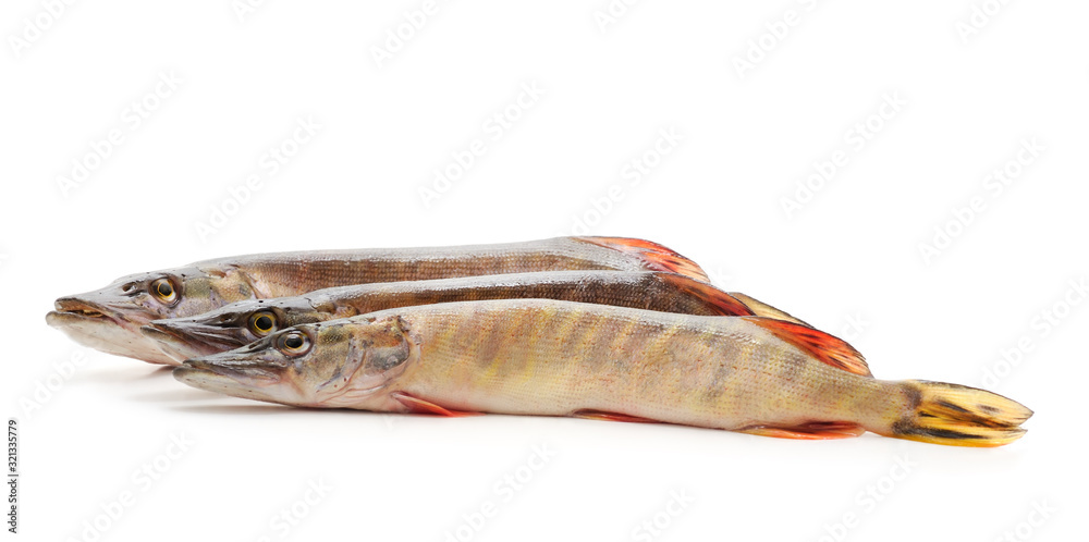 Three big pike. Three big pike.