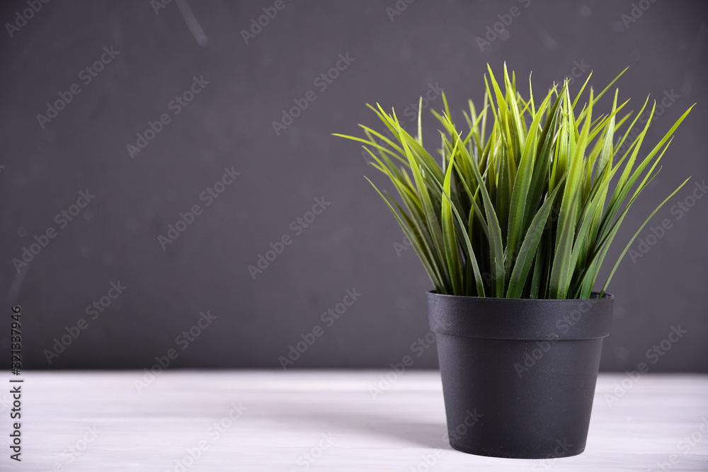 Fototapeta premium Artificial flowers grass different form in a pot on wooden background close up with copy space and text