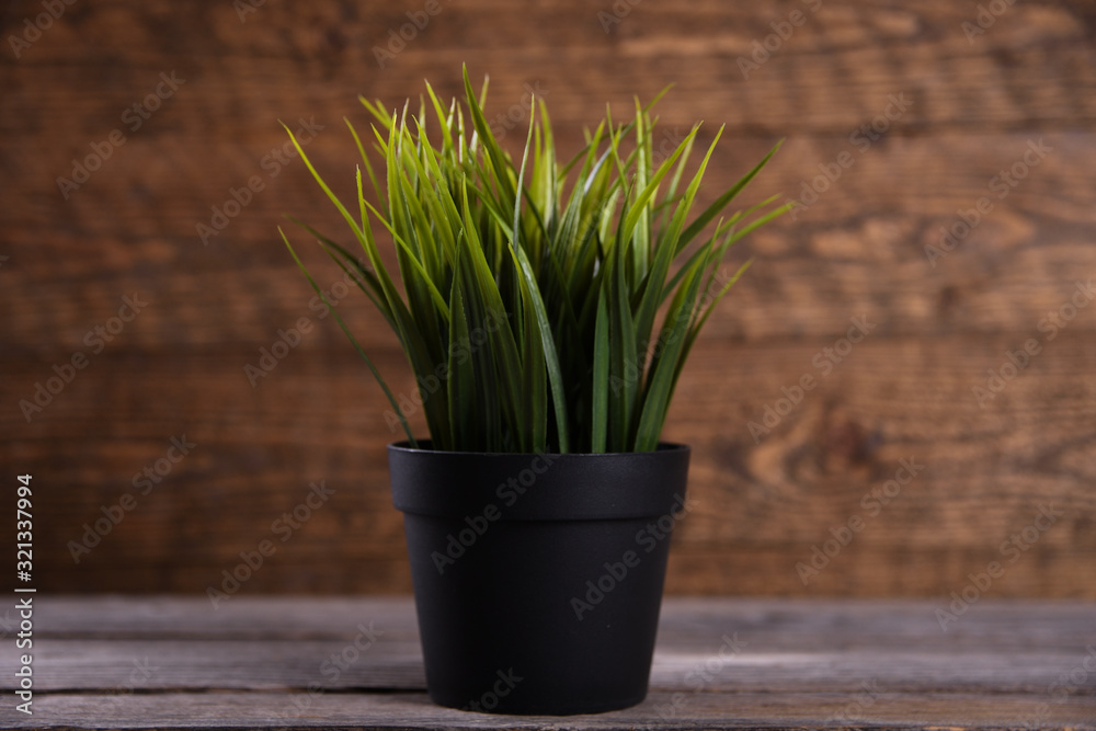 Artificial flowers grass different form in a pot on wooden background close up with copy space and text Artificial flowers grass different form in a pot on wooden background close up with copy space and text