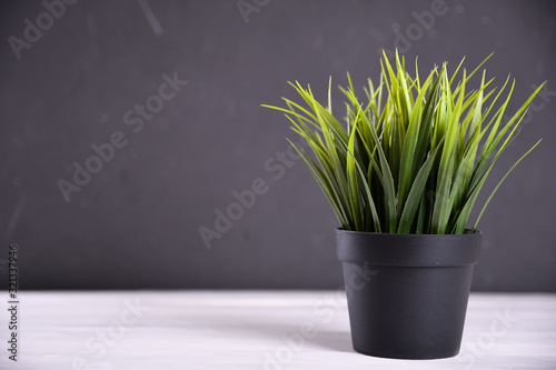 Artificial flowers grass different form in a pot on wooden background close up with copy space and text