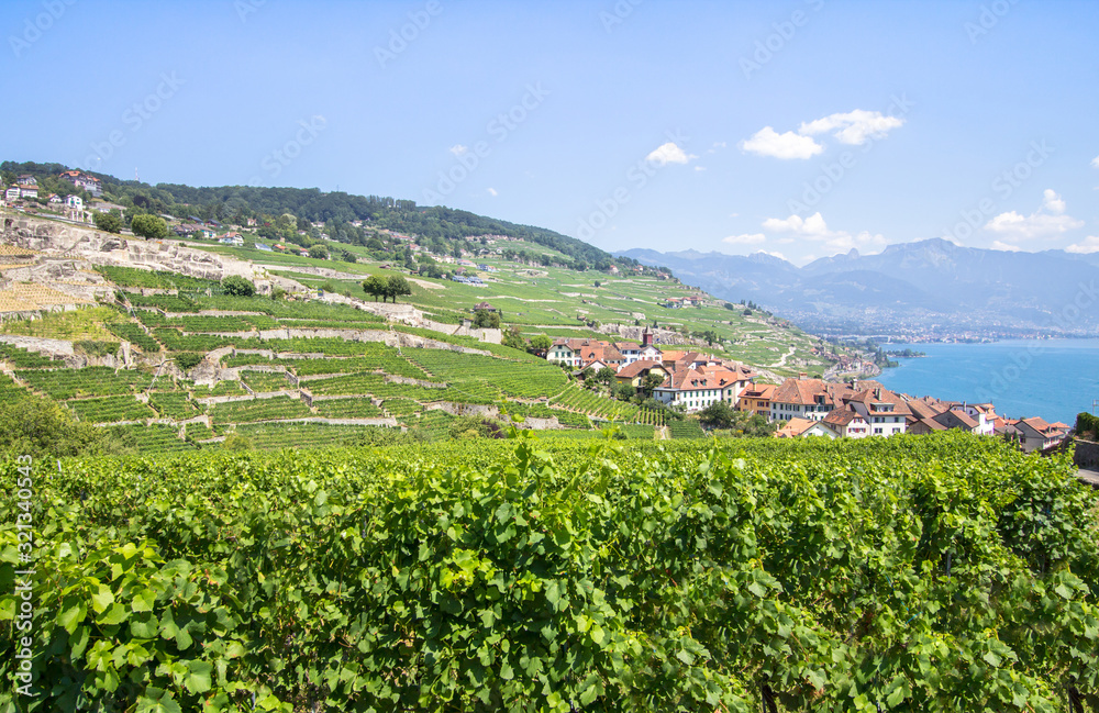 Vineyards in Lavaux region, Switzerland Vineyards in Lavaux region, Switzerland