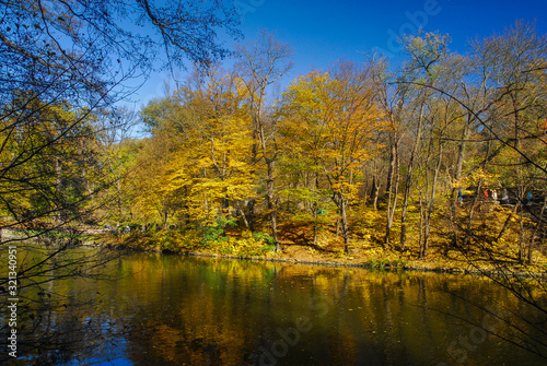 Nice sunny day golden autumn forest park lake landscape 