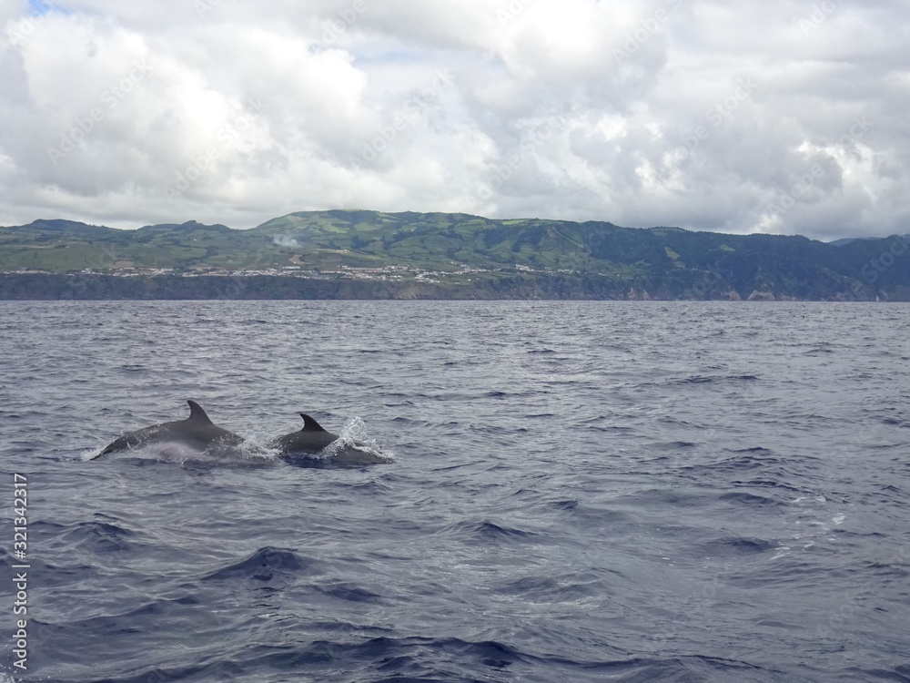 Fototapeta premium Sao Miguel - Azoren