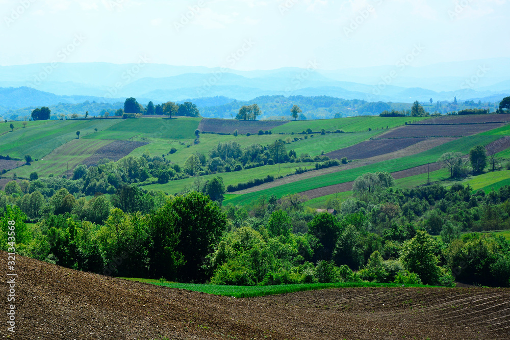 Scenic View of a Green Field.Spring green valley panoramic landscape.Pastoral green field