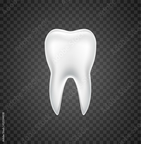 Isolated tooth dental vector realistic white single graphic. Tooth illustration single 3d