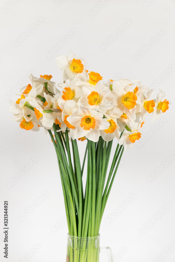 bunch of daffodils bunch of daffodils