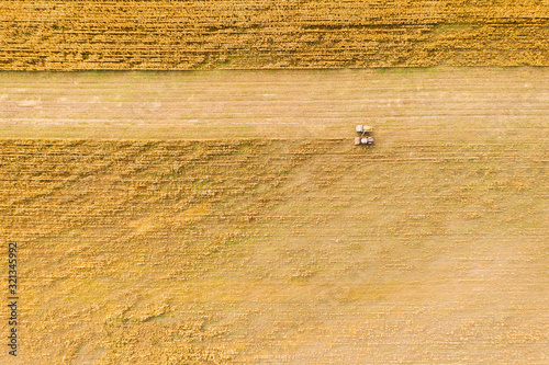 Aerial View Of Rural Landscape. Combine Harvester And Truck Working Together In Field, Collects Seeds. Harvesting Of Wheat In Autumn. Agricultural Machine Collecting Golden Ripe. Birds-eye Drone View