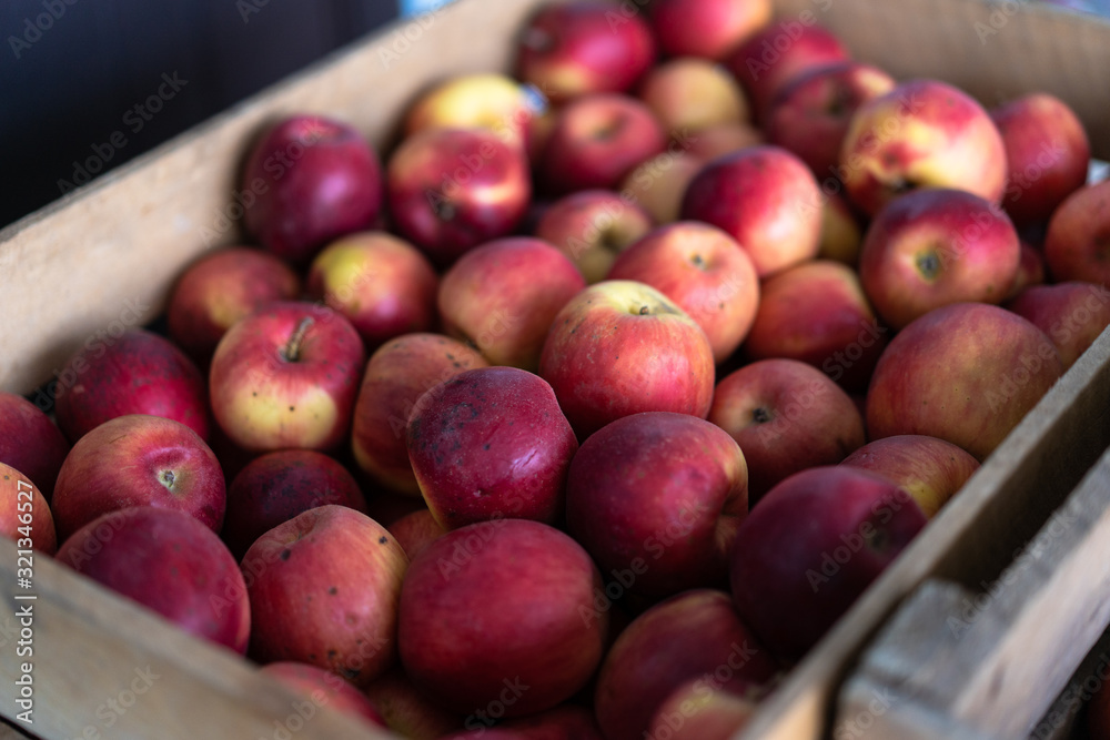 Ripe red-yellow apples in boxes Ripe red-yellow apples in boxes