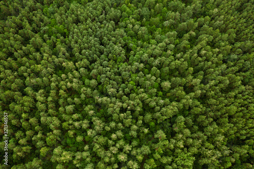 Aerial View Of Green Forest Landscape. Top View From High Attitude In Summer Evening. Natural Backdrop Background Of Deciduous Forest. Drone View. Bird's Eye View