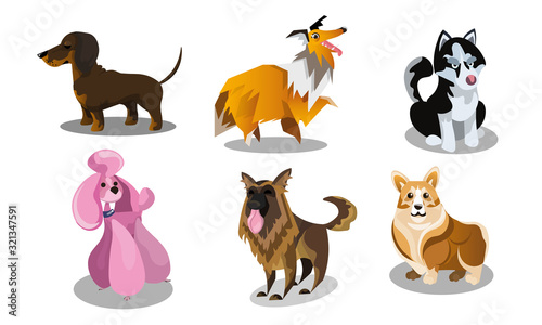 Set of funny cute dogs breeds vector illustration