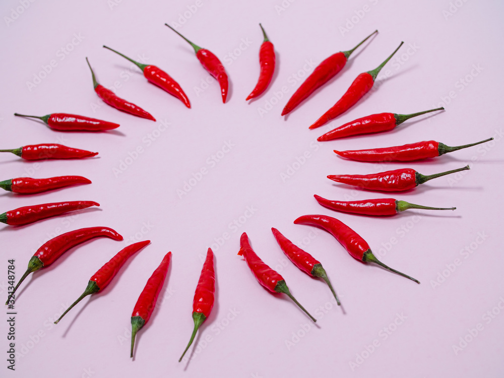 Chilli pepper on the pink background. empty space for your text. circle of chili peppers Chilli pepper on the pink background. empty space for your text. circle of chili peppers