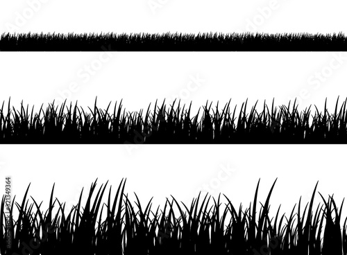 Grass meadow border vector pattern. Spring or summer plant field lawn. Black and white grass background