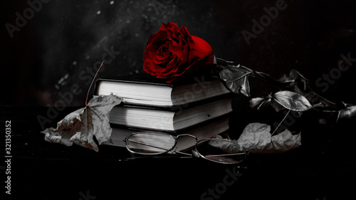Fototapeta Naklejka Na Ścianę i Meble -  rose