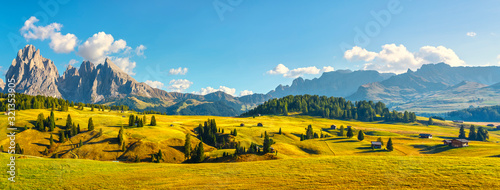 Canvas-taulu Alpe di Siusi or Seiser Alm and Sassolungo mountain, Dolomites Alps, Italy