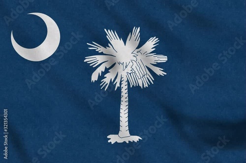 USA Flag of South Carolina gently waving in the wind seamless loop animation