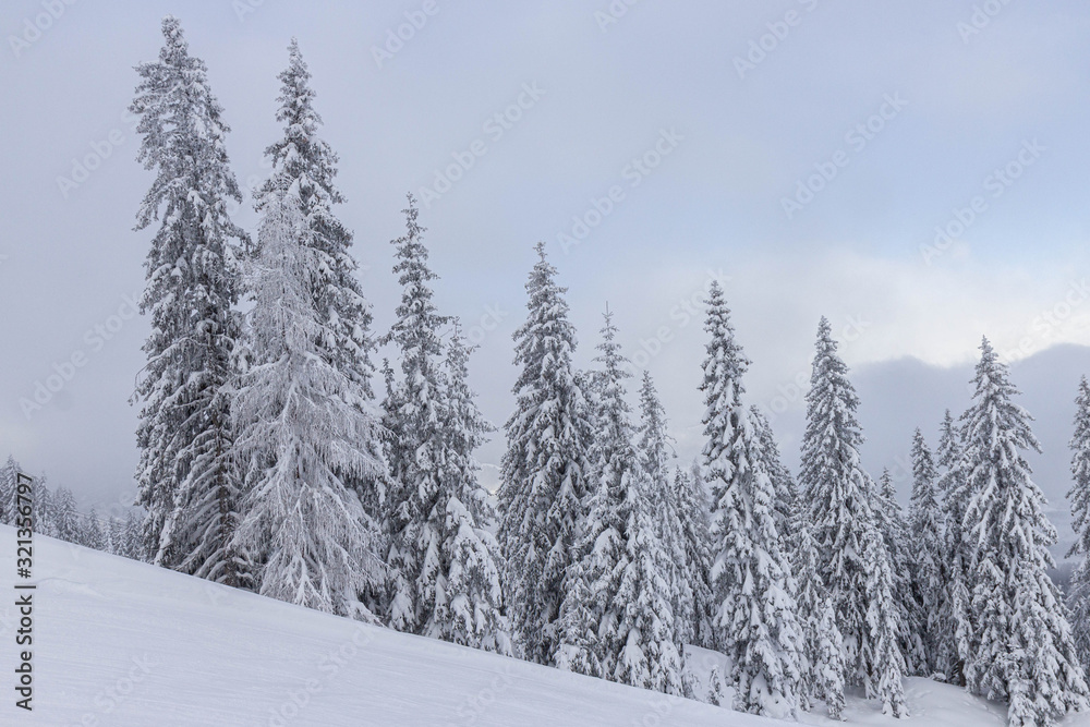 view of piste at ski resort in Austrian alps view of piste at ski resort in Austrian alps