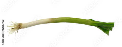 Young garlic leaves isolated on white background. young-green garlic.