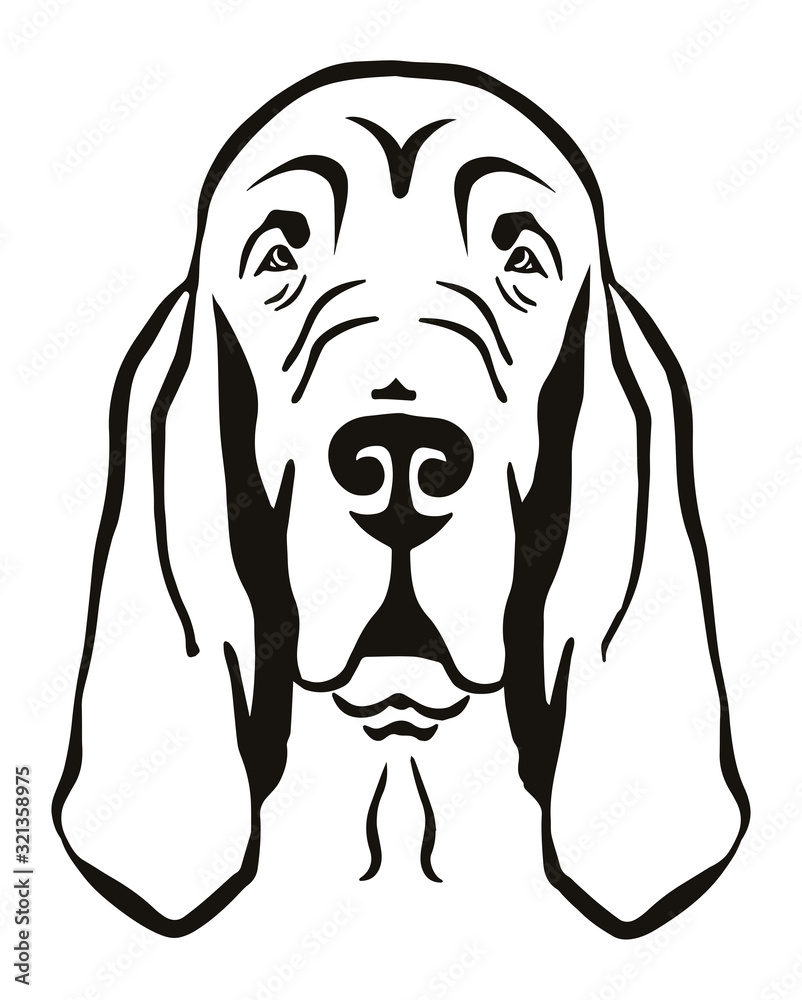 Bloodhound head black and white - obrazy, fototapety, plakaty 