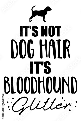It's not dog hair, it's Bloodhound glitter