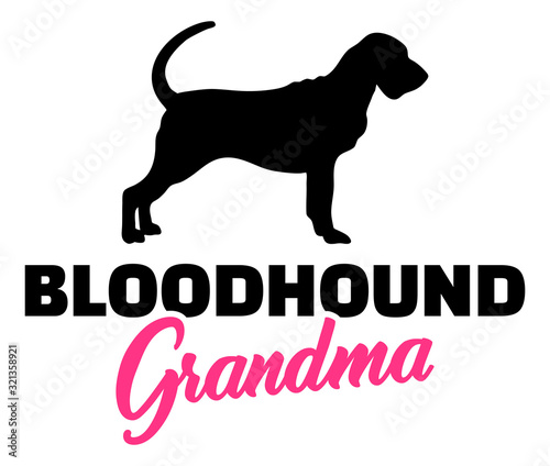 Bloodhound Grandma with silhouette