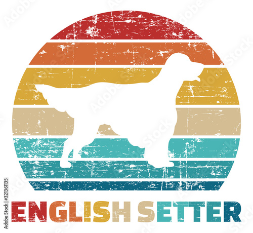English Setter vintage color