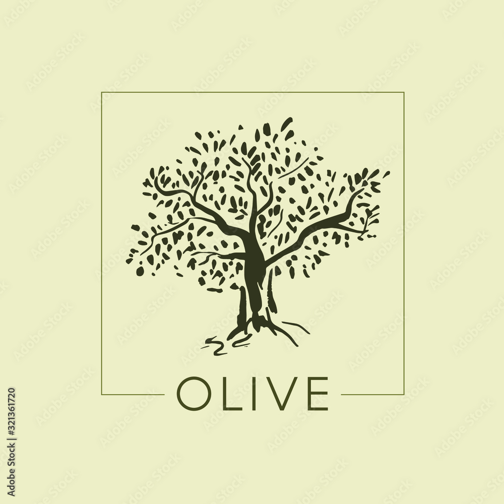 Obraz premium Logo olive tree