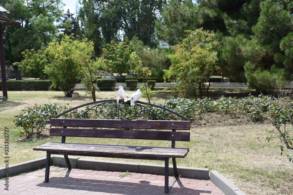 bench in the park