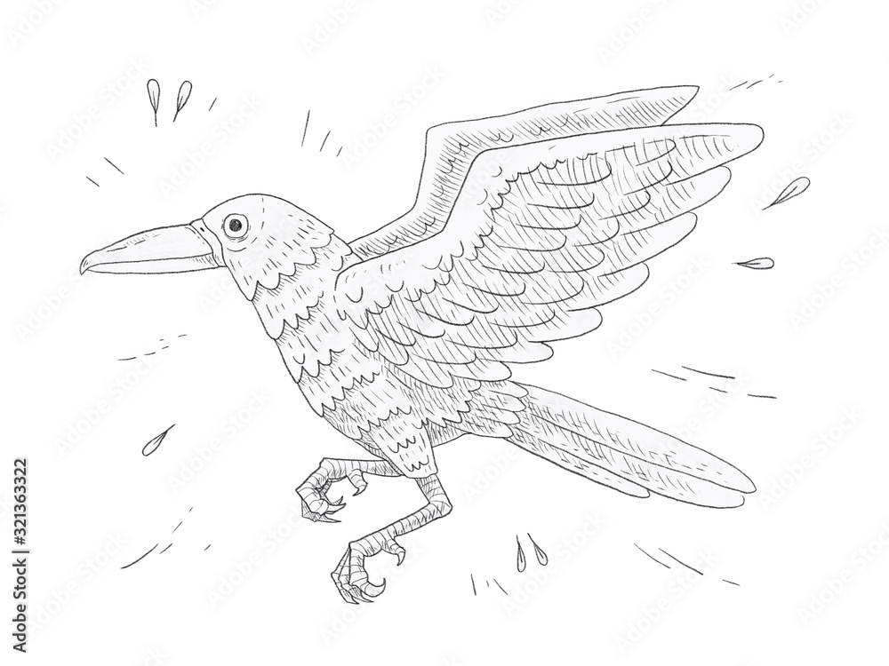 Obraz premium crow flying with sketchy style.