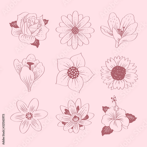 Hand drawn spring flower collection.Vector