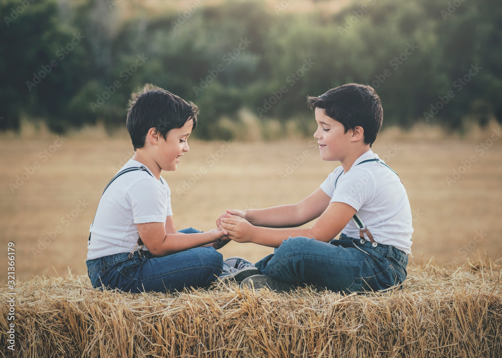 Brothers playing in the wheat field Brothers playing in the wheat field