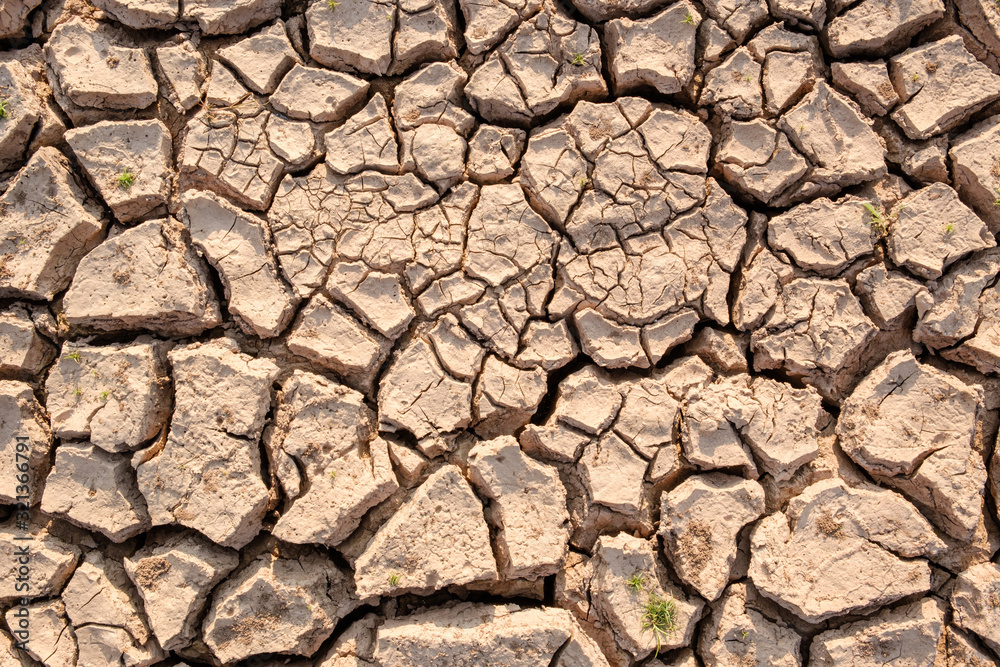 Dry soil results from lack of water.Global warming Dry soil results from lack of water.Global warming