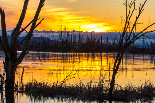 A Flooded Forest is Reflected in a Wetland at Sunset in the Skagit Valley photo