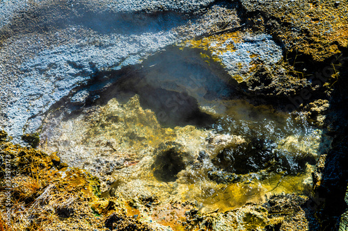 BEACH SPRING, YELLOWSTONE