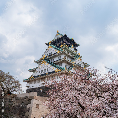 Osaka castle with cherry blossom. Japanese spring beautiful scene.