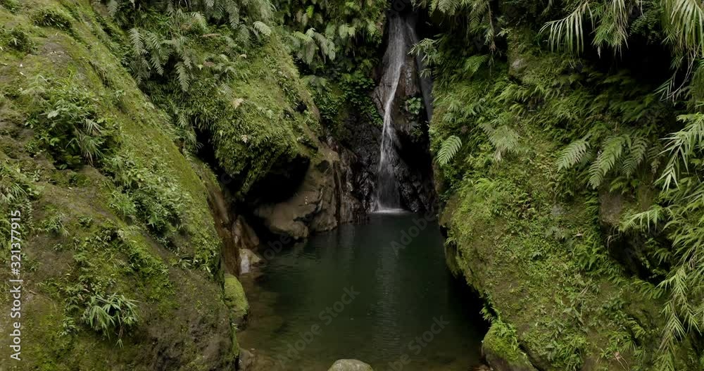 The Gorgeous Scenery Of Glorious Trees and Waterfalls In Taiwan - Wide Shot The Gorgeous Scenery Of Glorious Trees and Waterfalls In Taiwan - Wide Shot