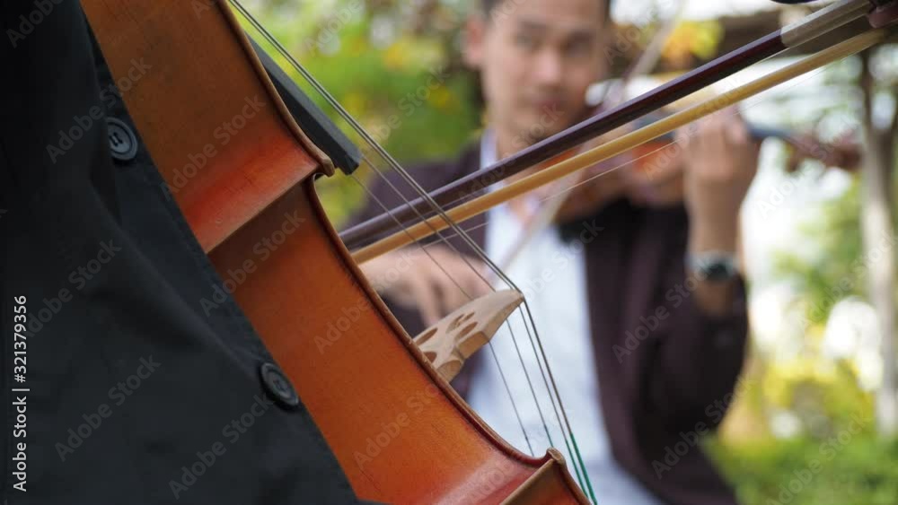 Musicians playing violins in the garden Musicians playing violins in the garden
